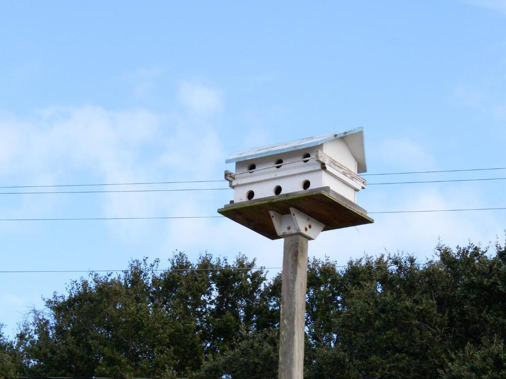 Falcon Motel Buxton Dış mekan fotoğraf